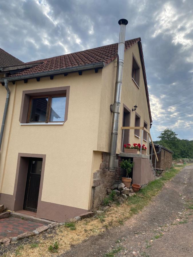 Haus Monika Homburg (Saar) Exterior foto